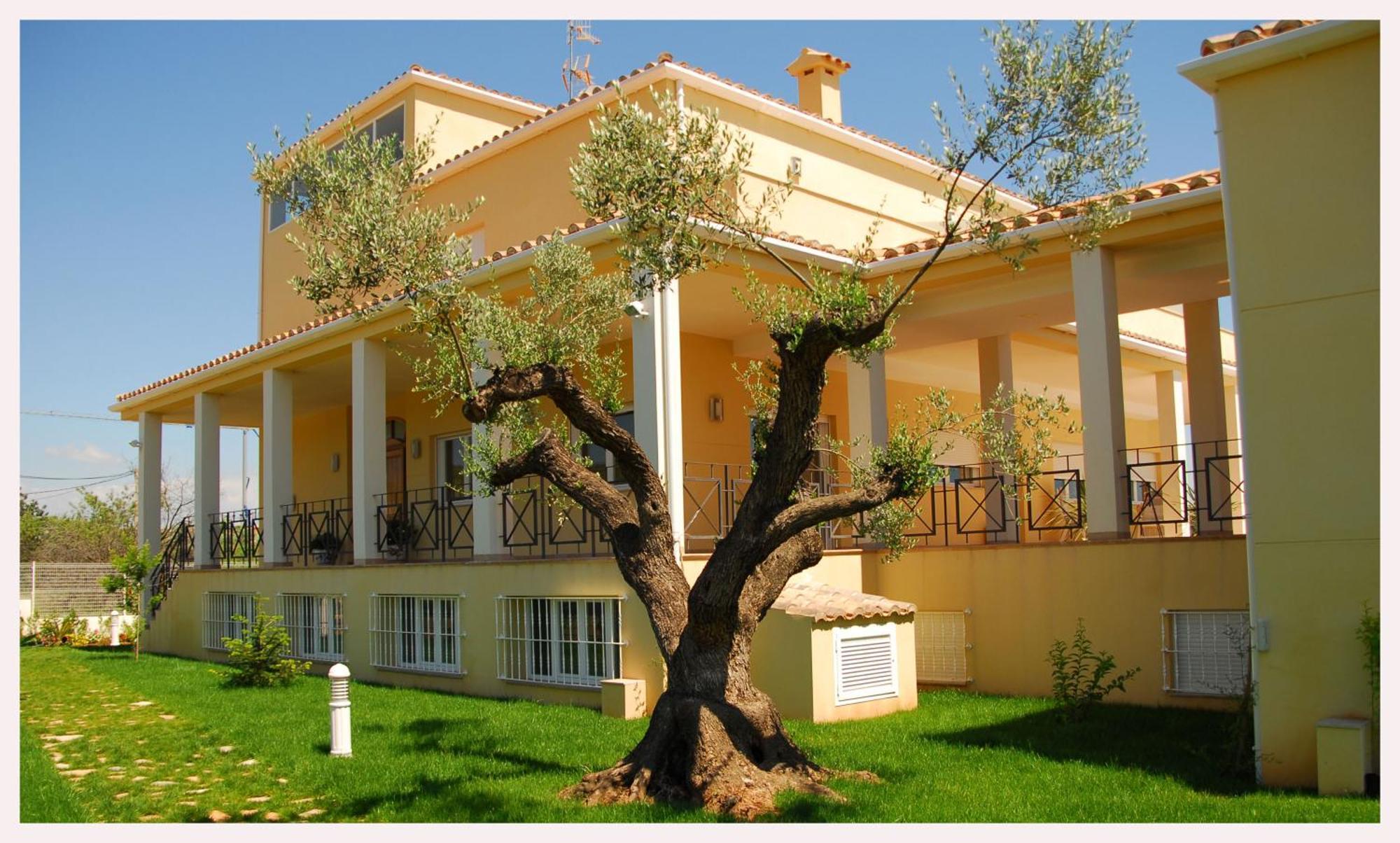 Luz De Azahar Bed And Breakfast Peñíscola Extérieur photo